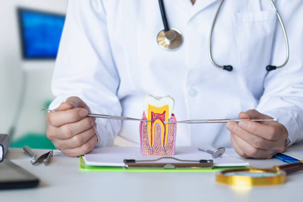 Best Urgent Dental Care for Toothaches in Herald Harbor, MD